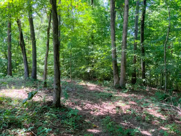 0 Deadwood Drive, Dover, TN 37058