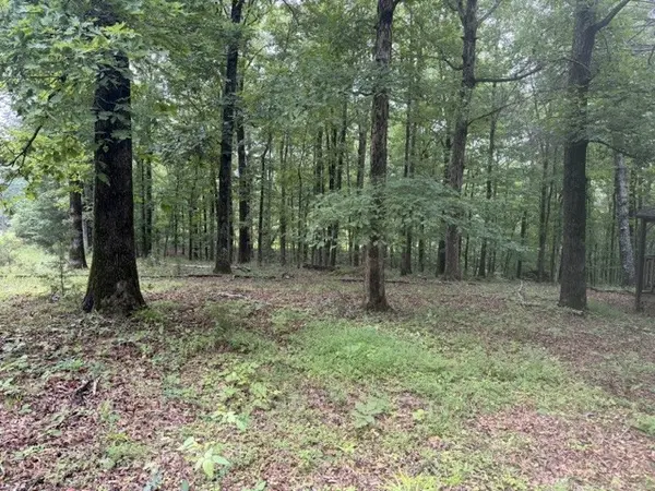 1 High Ridge Dr, Nunnelly, TN 37137