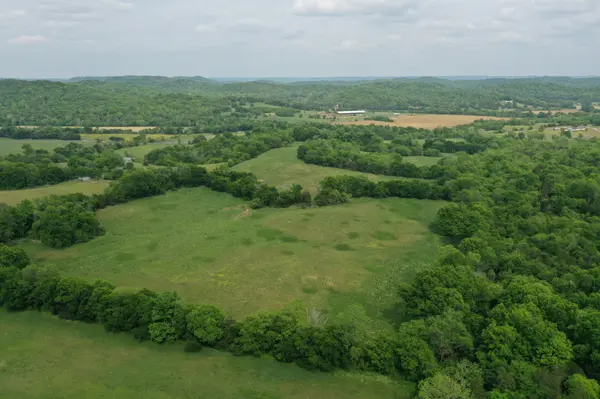 0 Delina Boonshill Rd, Petersburg, TN 37144