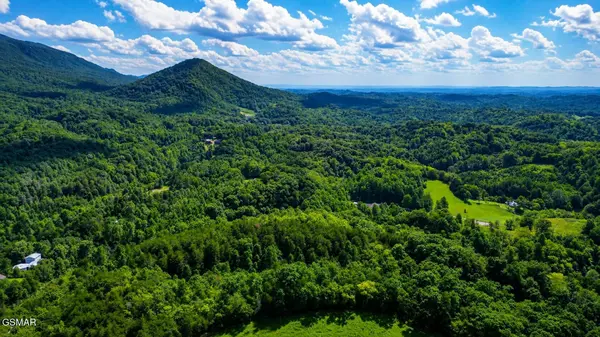 738 Autumns Peak Way, Sevierville, TN 37876