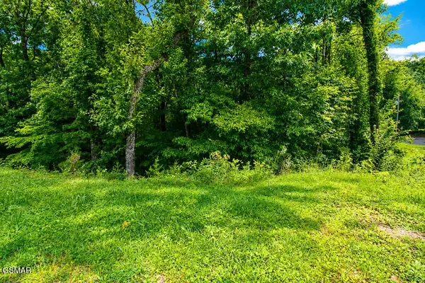 53 Hid View Street, Pigeon Forge, TN 37863