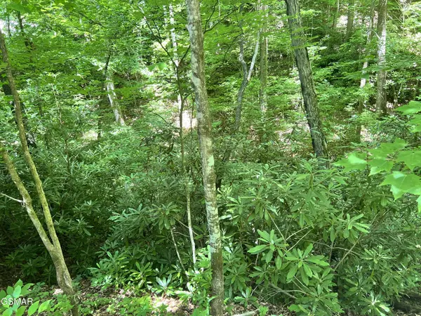 110 Fir Drive, Sevierville, TN 37876