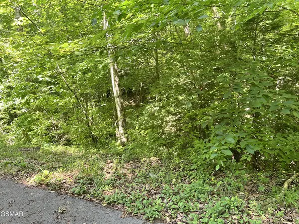 110 Fir Drive, Sevierville, TN 37876