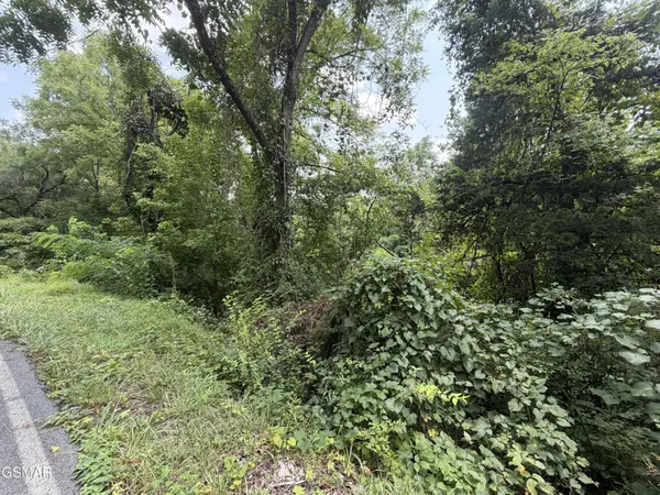 1059 Kellum Creek Road, Sevierville, TN 37876