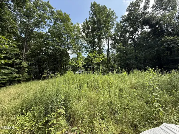 171 Jack Green Road, Whitleyville, TN 38588