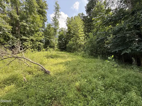 171 Jack Green Road, Whitleyville, TN 38588