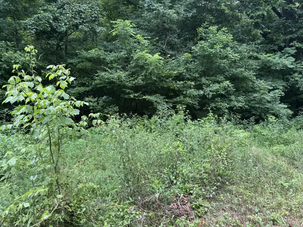 0 Denton Rd, Linden, TN 37096