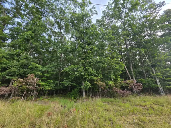 1 Adams Road, Tracy City, TN 37387