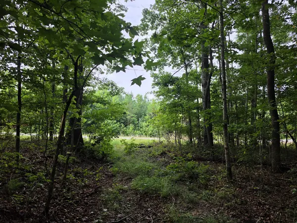 1 Adams Road, Tracy City, TN 37387