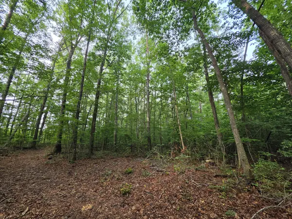 1 Adams Road, Tracy City, TN 37387