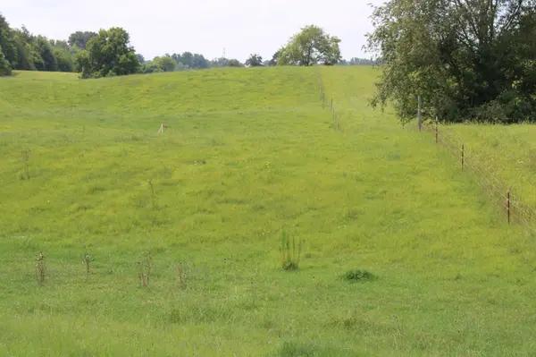 0 McGiboney Rd, Rock Island, TN 38581