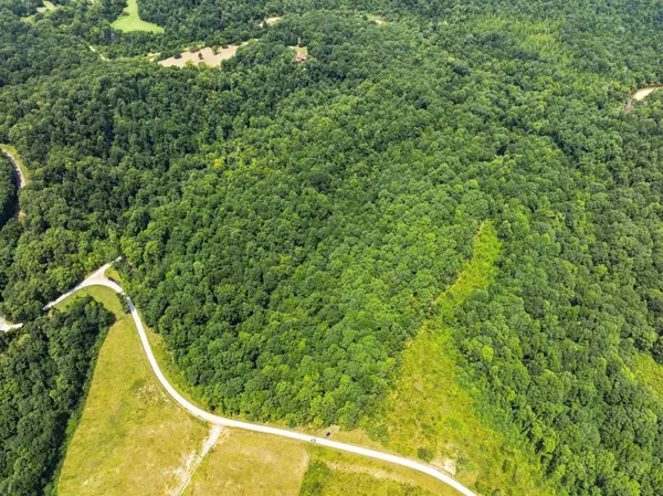 0 Mathis Cemetery Rd, Stewart, TN 37175