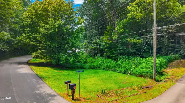 10 Maple Hill Way, Gatlinburg, TN 37738