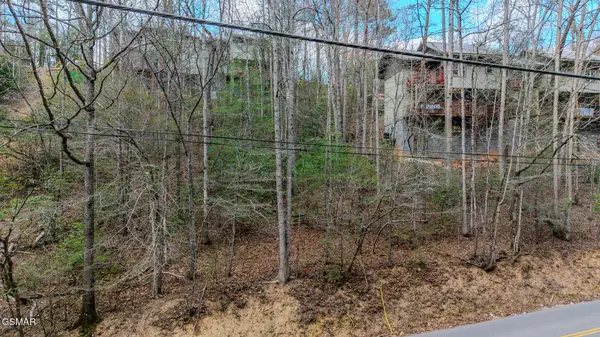 0 Proffitt Road, Gatlinburg, TN 37738