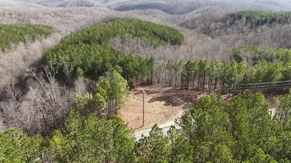 2932 Old Hohenwald Rd, Linden, TN 37096