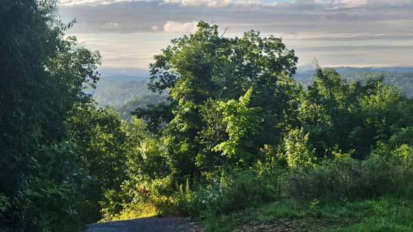 260 Riddle St, Dayton, TN 37321