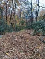 3 Rocky Ridge Road, Cosby, TN 37722