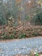 3 Rocky Ridge Road, Cosby, TN 37722