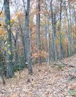 3 Rocky Ridge Road, Cosby, TN 37722