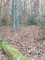 3 Rocky Ridge Road, Cosby, TN 37722