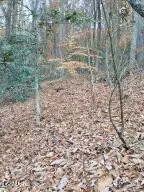 3 Rocky Ridge Road, Cosby, TN 37722