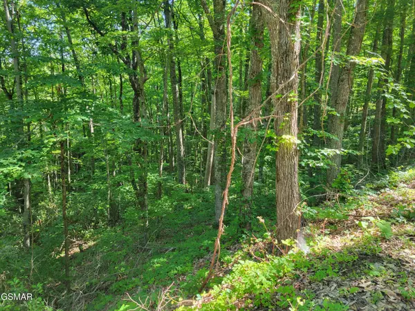 20 Sunset Drive, Sevierville, TN 37876