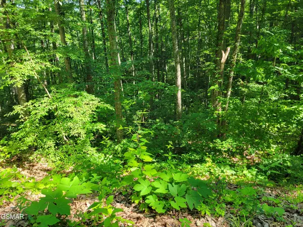 20 Sunset Drive, Sevierville, TN 37876