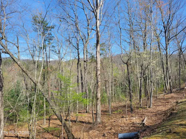 10 Black Oak Drive, Sevierville, TN 37876