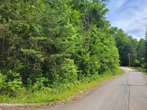 14 Peace Lane, Cosby, TN 37722