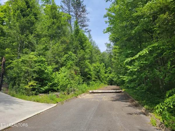 15 Peace Lane, Cosby, TN 37722