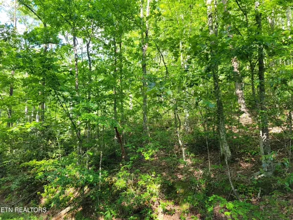 27 Black Oak Drive, Sevierville, TN 37876