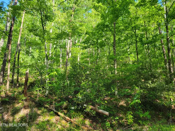 27 Black Oak Drive, Sevierville, TN 37876