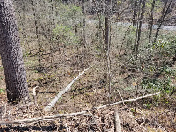 25 Alpine Drive, Sevierville, TN 37876