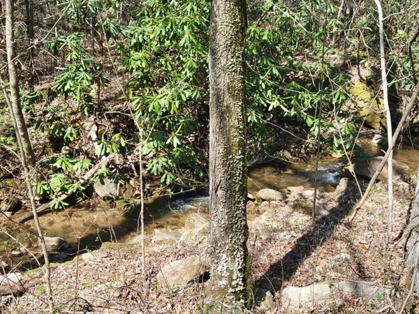 25 Alpine Drive, Sevierville, TN 37876
