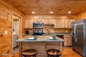 460 Sassafras Way, Cosby, TN 37722