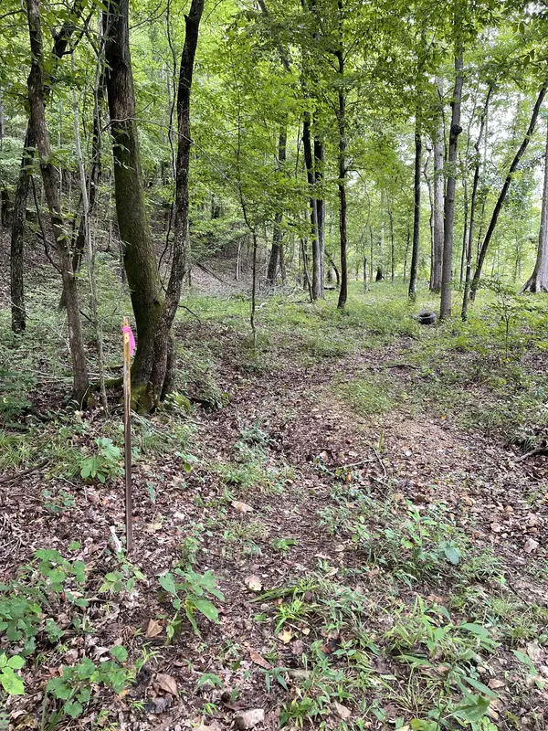 0 Brownfield Rd, Dover, TN 37058