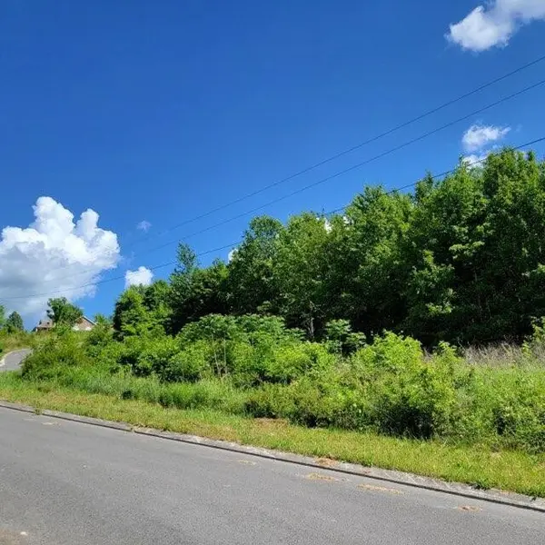 0 Hardin Rd 74 Road, Dunlap, TN 37327