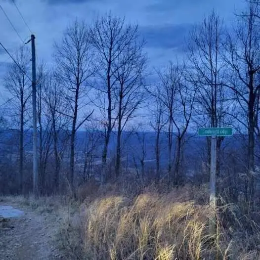 0 Little Bedford Road, Spring City, TN 37381