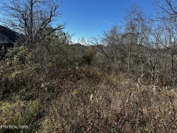 0 Shaddon Road, Tellico Plains, TN 37385