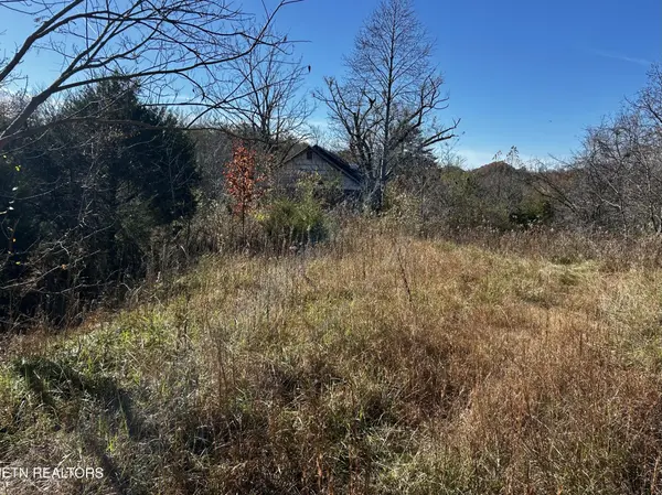 0 Shaddon Road, Tellico Plains, TN 37385