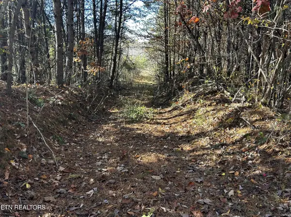 0 Shaddon Road, Tellico Plains, TN 37385