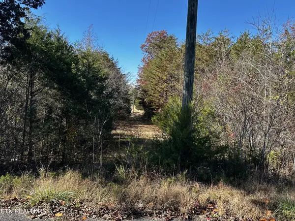 0 Shaddon Road, Tellico Plains, TN 37385