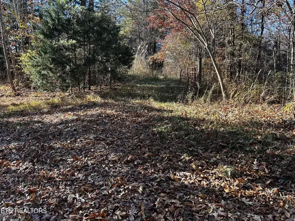 0 Shaddon Road, Tellico Plains, TN 37385