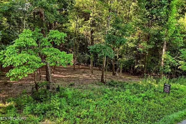 161 Pinecrest Drive, Loudon, TN 37774