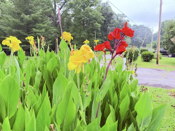 704 Canyon Dr, Altamont, TN 37301