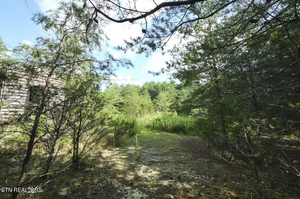 0 Rutledge Pike, Blaine, TN 37709