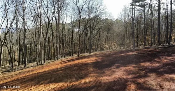 969 County Rd, Delano, TN 37325