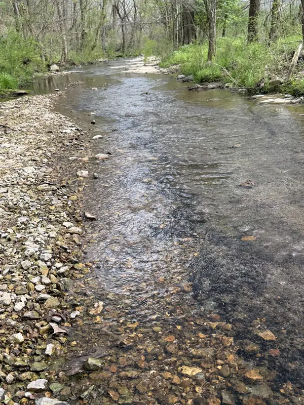 0 Opossum Paw Road, Beechgrove, TN 37018