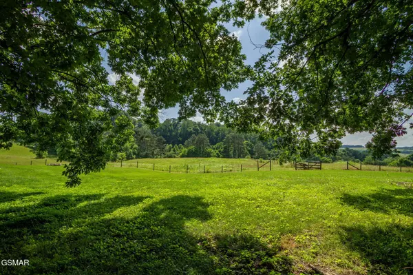 1435 Collins Road, New Market, TN 37820