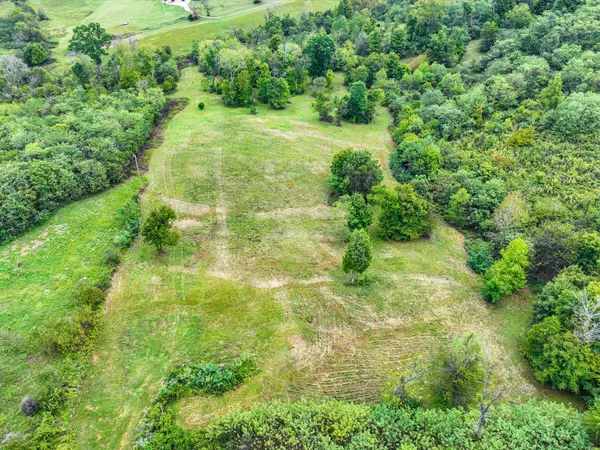 1384 Cliff Amos Rd, Spring Hill, TN 37174